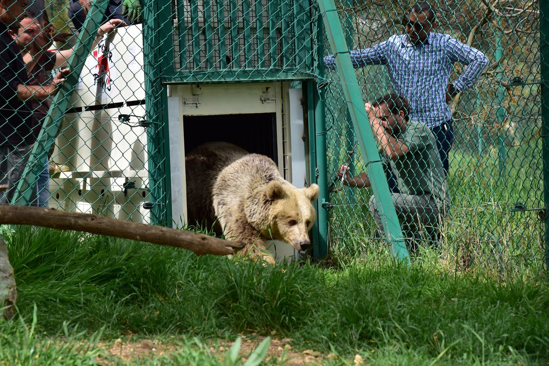 En fotos: los últimos animales de un zoológico de Tailandia