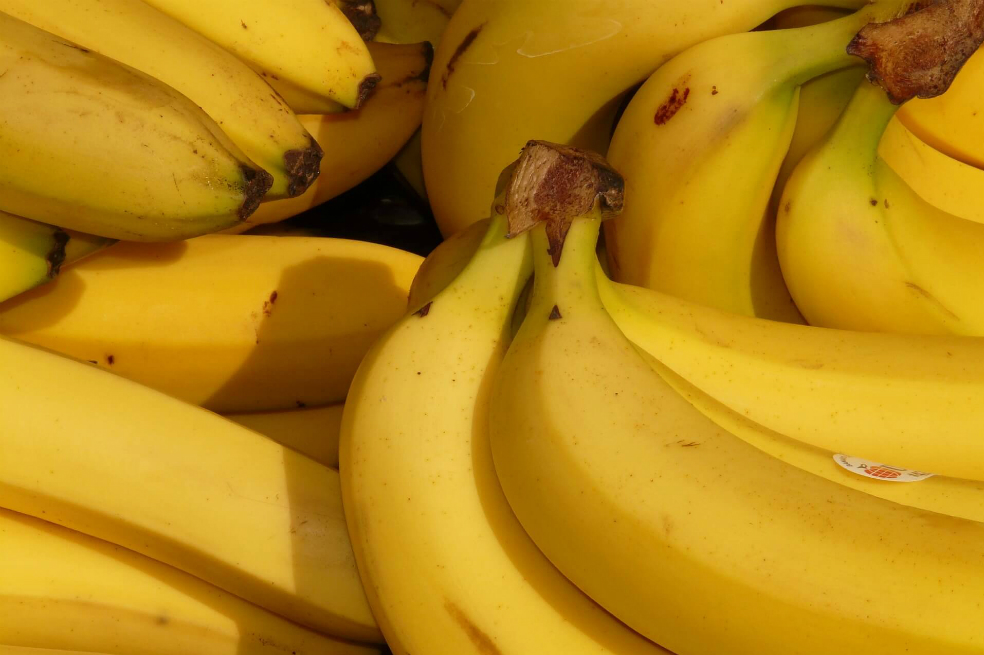 ICA declara emergencia nacional por presencia del hongo que afecta el cultivo del banano
