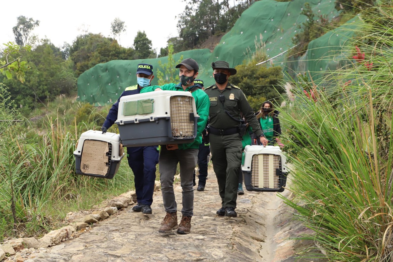 La jornada se realizó en el Parque Ecológico Distrital Soratama (Usaquén) como parte de la celebración del Día Mundial de la Vida Silvestre.