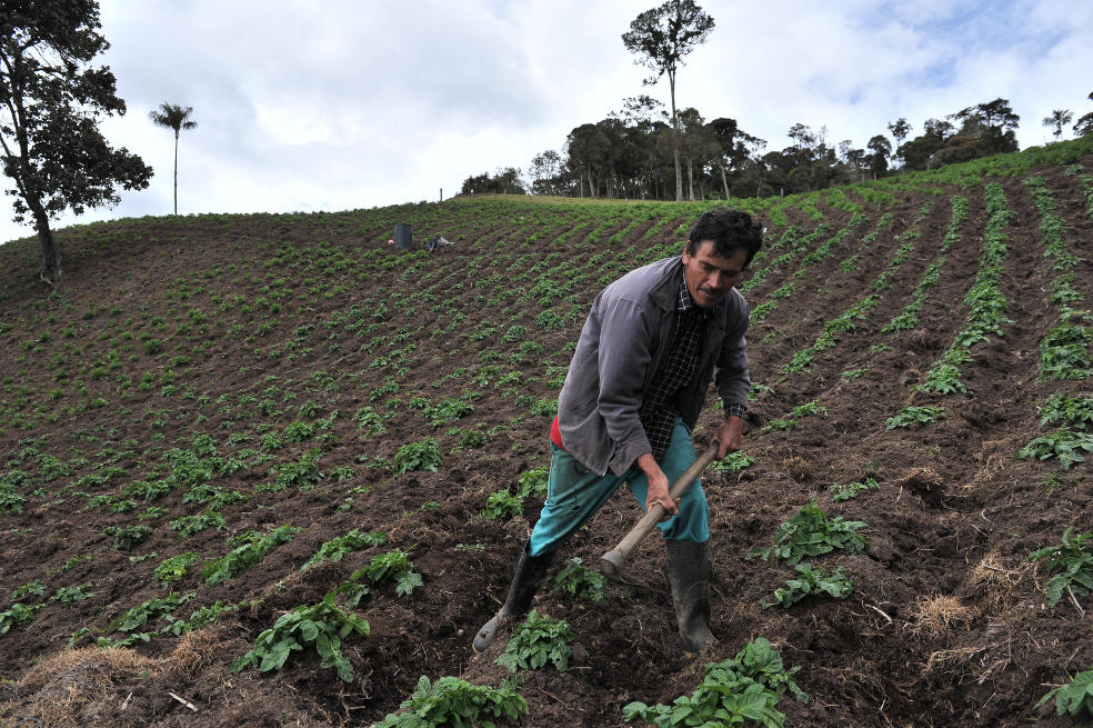 Las dos caras de la moneda en la adjudicación y formalización de tierras a campesinos