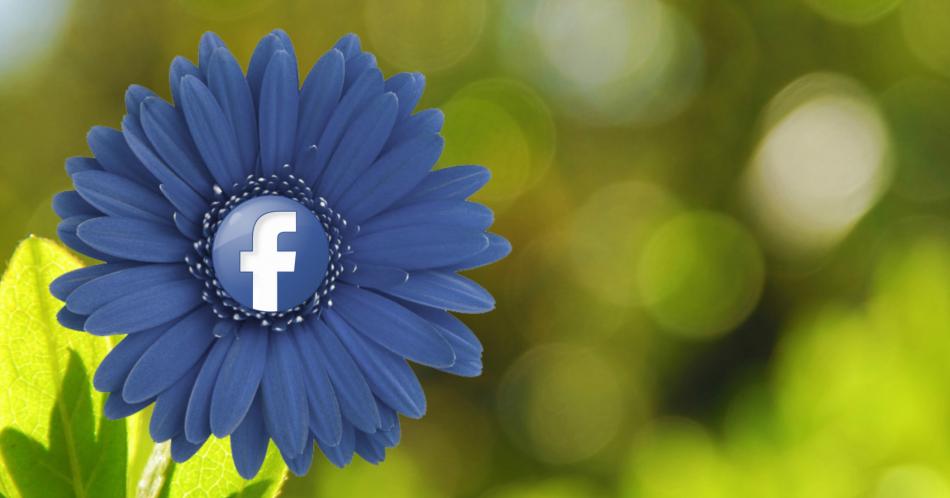 Cinco errores comunes que se deben evitar en las redes sociales
