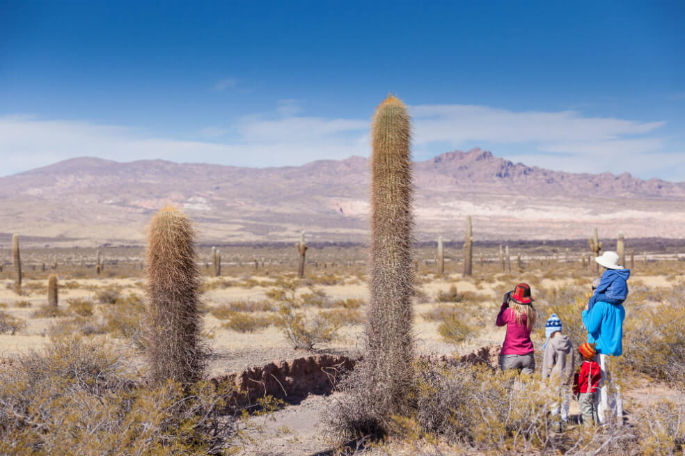 ¿Qué hacer en Salta? Un destino recomendado en Argentina