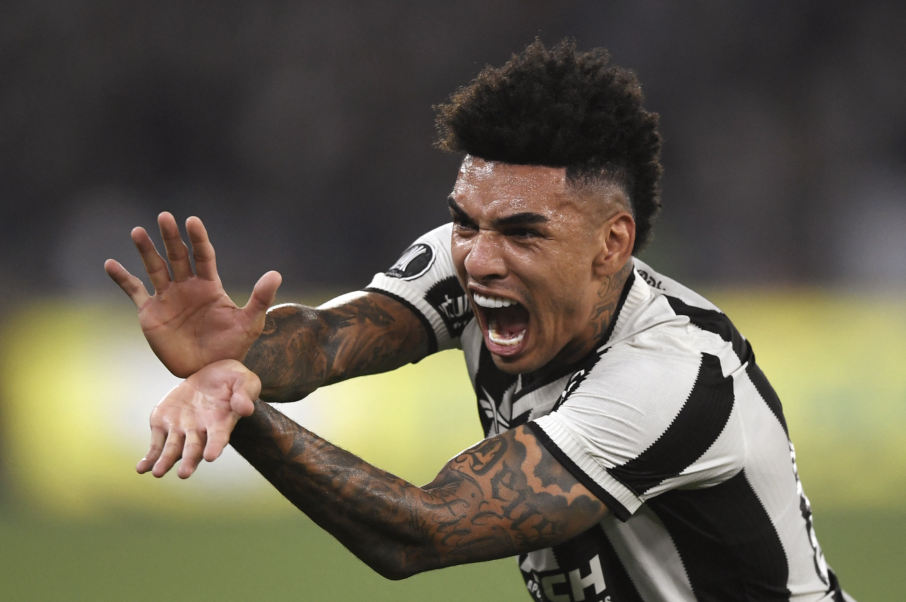 Botafogo destrozó a Peñarol y sueña con la final de la Libertadores: vea los goles