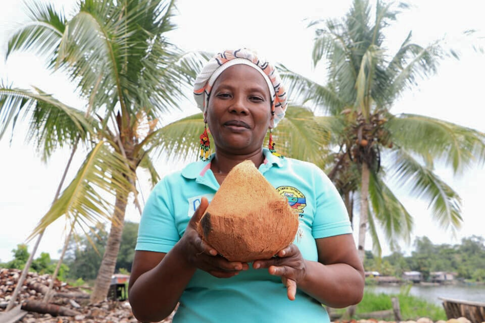 Según el Ministerio de Agricultura, en 2018 Nariño tenía 10.514 hectáreas sembradas con palma de coco; seguido por el Cauca, con 2.841 hectáreas; Chocó, con 1.1065 hectáreas y Valle del Cauca, con 317 hectáreas.