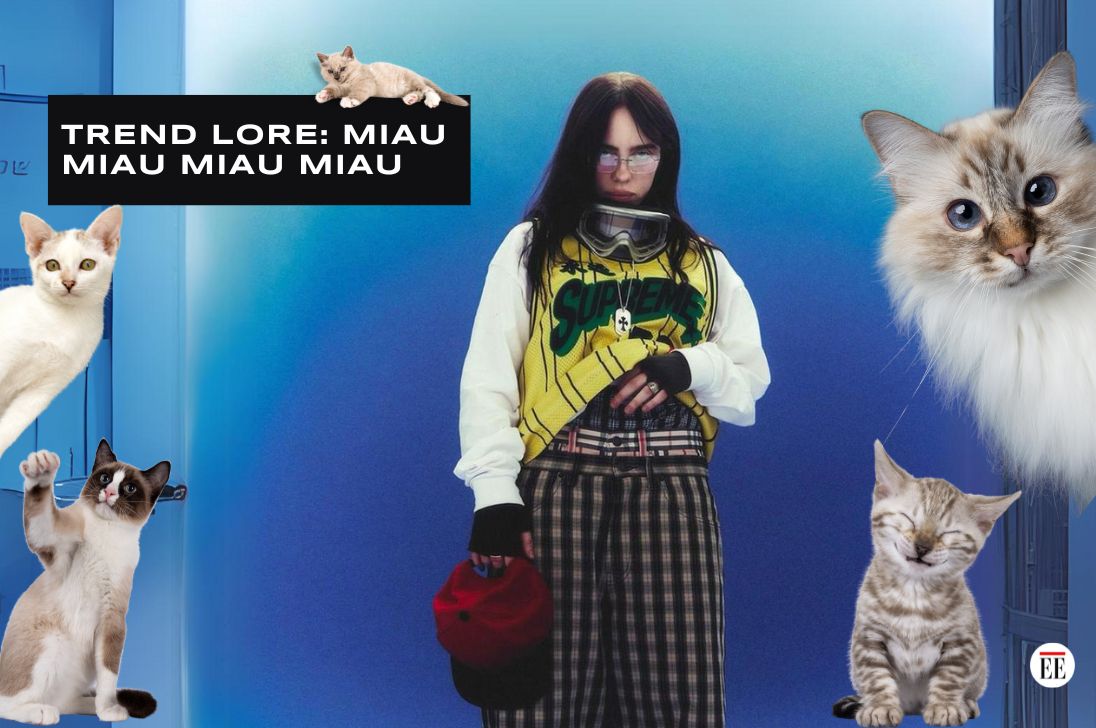 La popularidad de "Canción triste miau miau" se debe a la ternura que da escuchar maullando la canción "What Was I Made For" de Billie Eilish.