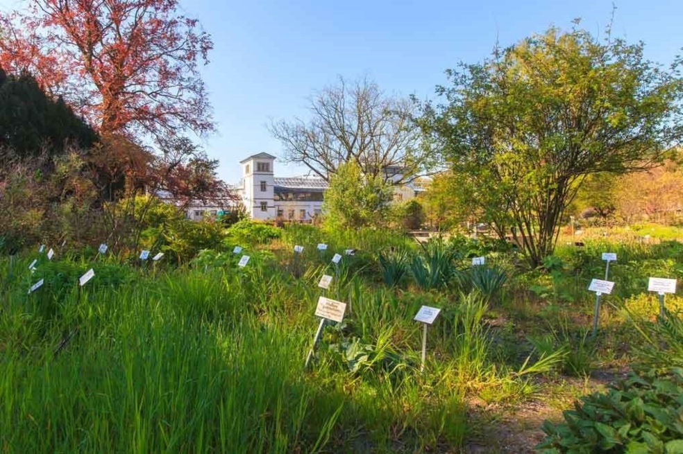 Más de 1,3 millones de referencias en el mayor catálogo de plantas