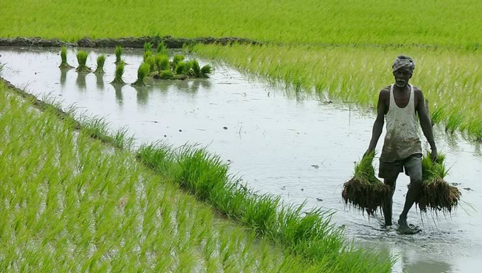 En 10 años nos enfrentaremos a una crisis alimentaria global