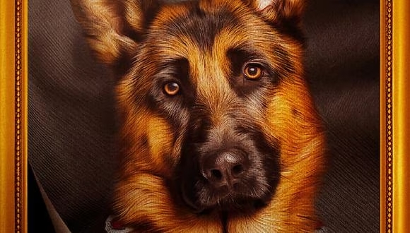 “Gunther, el perro millonario”: la historia detrás del documental de Netflix
