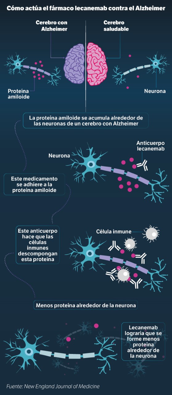 Así funciona lecanemab, el fármaco para tratar el Alzheimer.