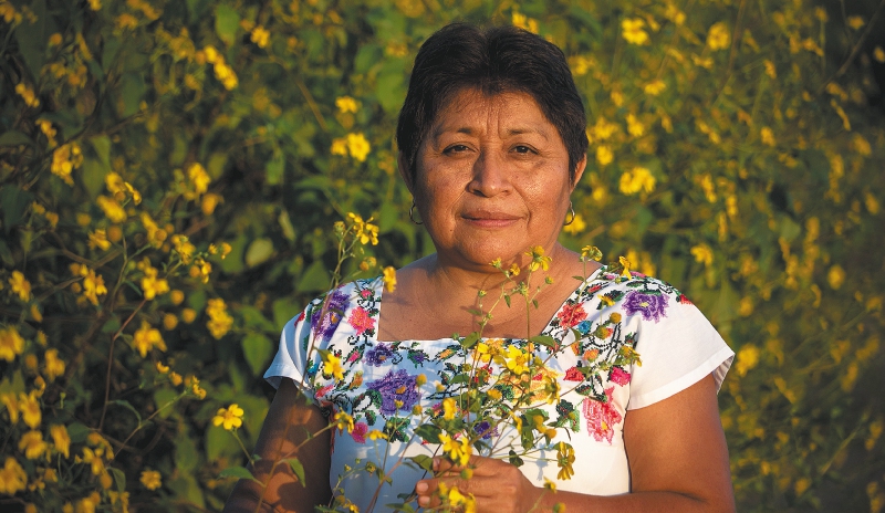 Leydy Pech, la mujer que le ganó la batalla a Monsanto por proteger a las abejas