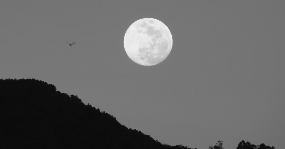 Energiza tus proyectos con la ayuda de la Luna de septiembre