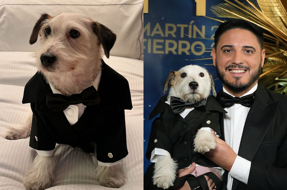 Ramoncito: el perrito que se robó el show en los premios Martín Fierro 2024