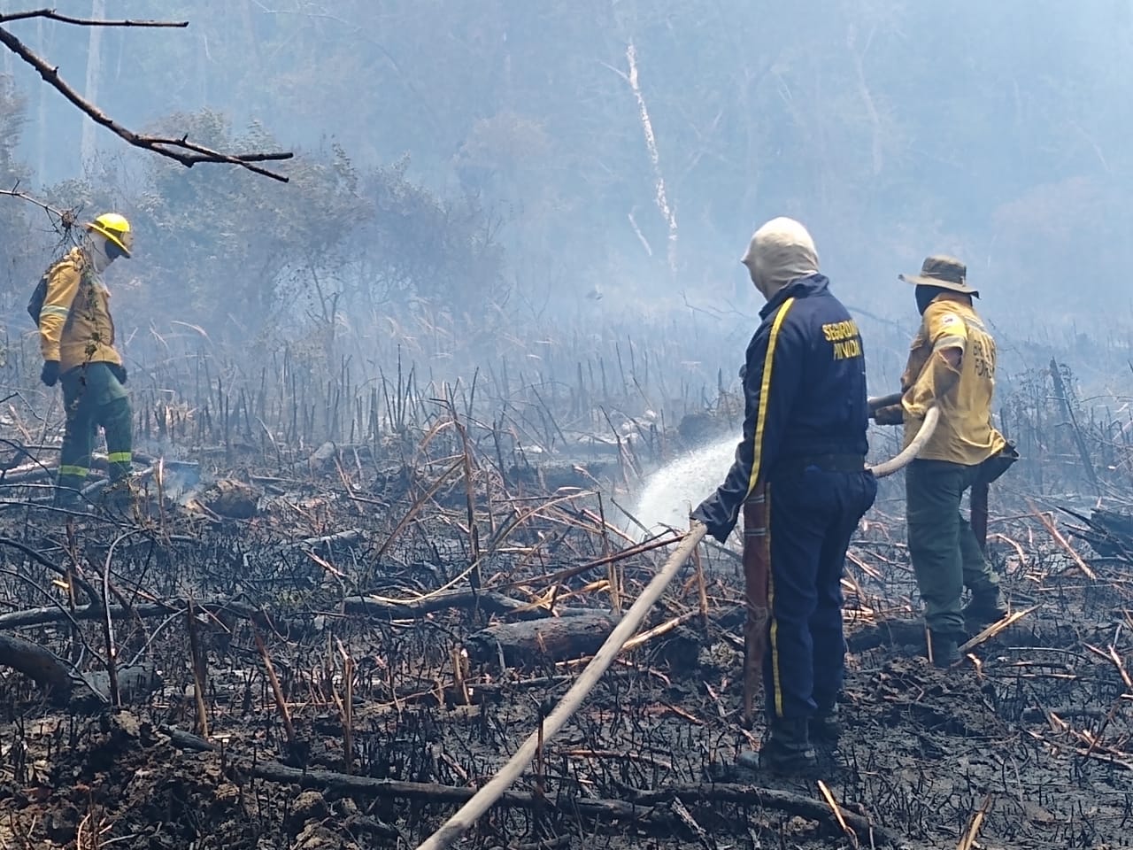Aunque el incendio es de baja intensidad está generando altas columnas de humo y ceniza debido a la vegetación de la zona.