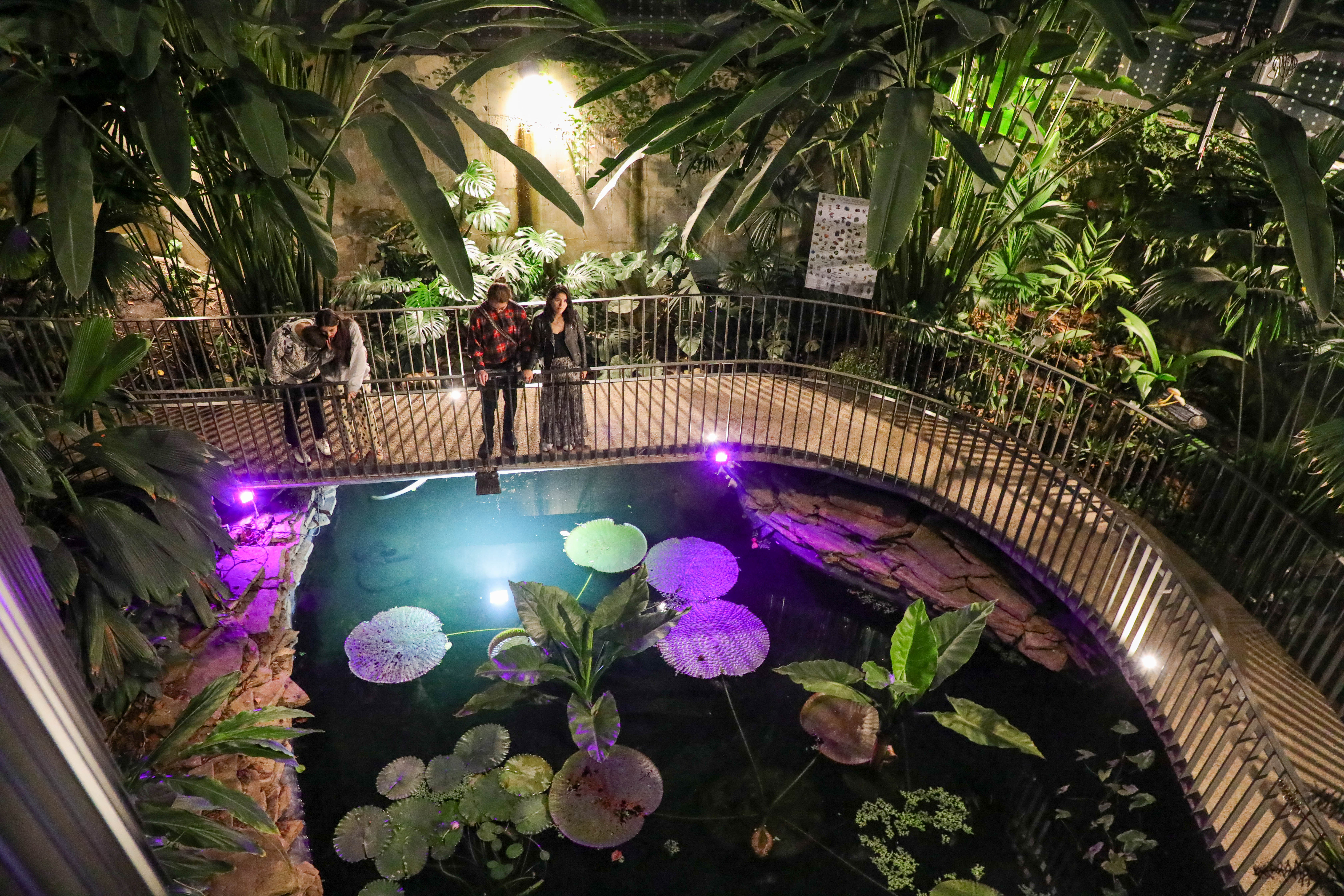 Regresa el Jardín Botánico de noche y gratis: así puede inscribirse