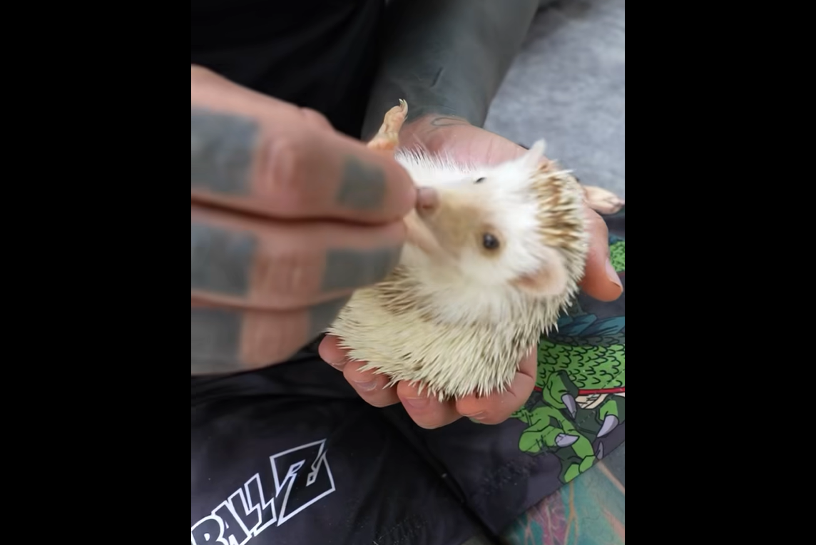 Yeferson Cossio mostró los exóticos animales que tiene en su casa