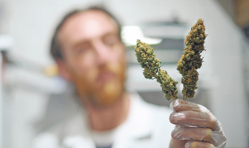 La mayoría de tratamientos con cannabis medicinal no tienen evidencia científica suficiente