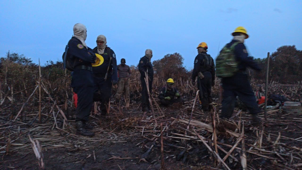 Así es como los incendios forestales afectan su salud