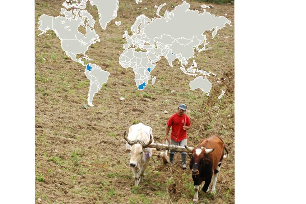 La restitución de tierras en el mundo