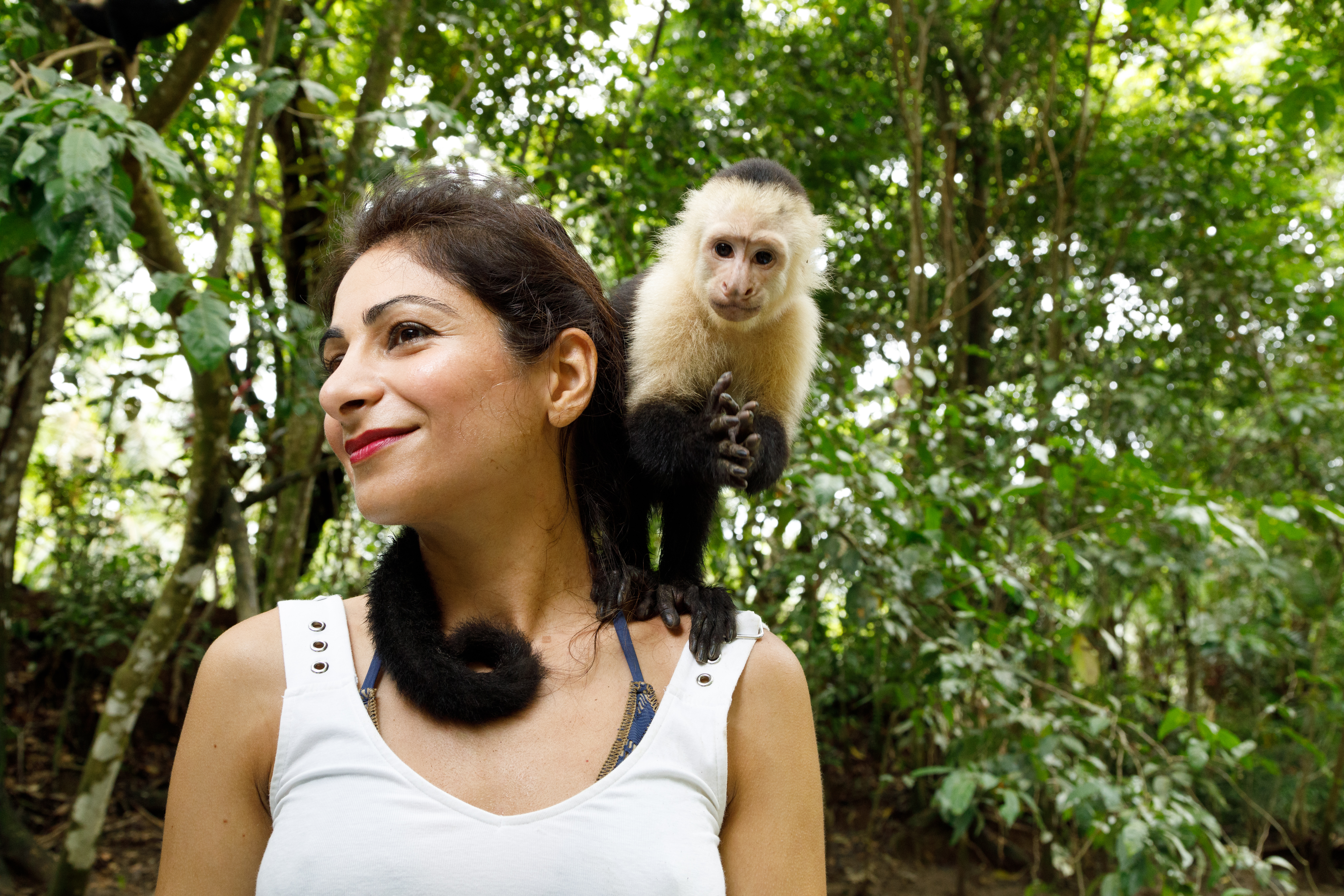 Turismo responsable, un salvavidas para la fauna silvestre en Colombia
