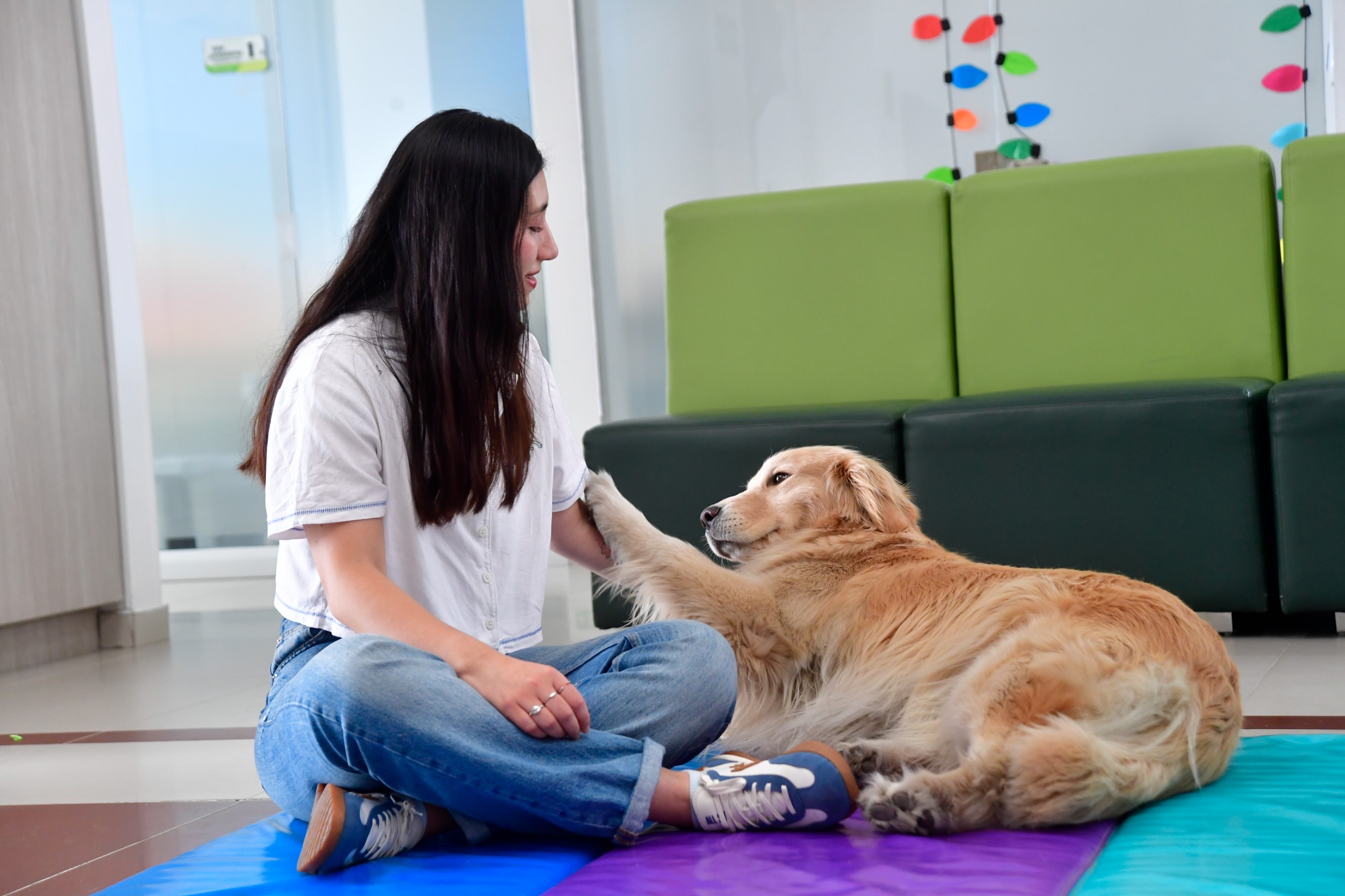 Perros ayudan a sanar: el impacto de la terapia asistida con animales en la salud mental