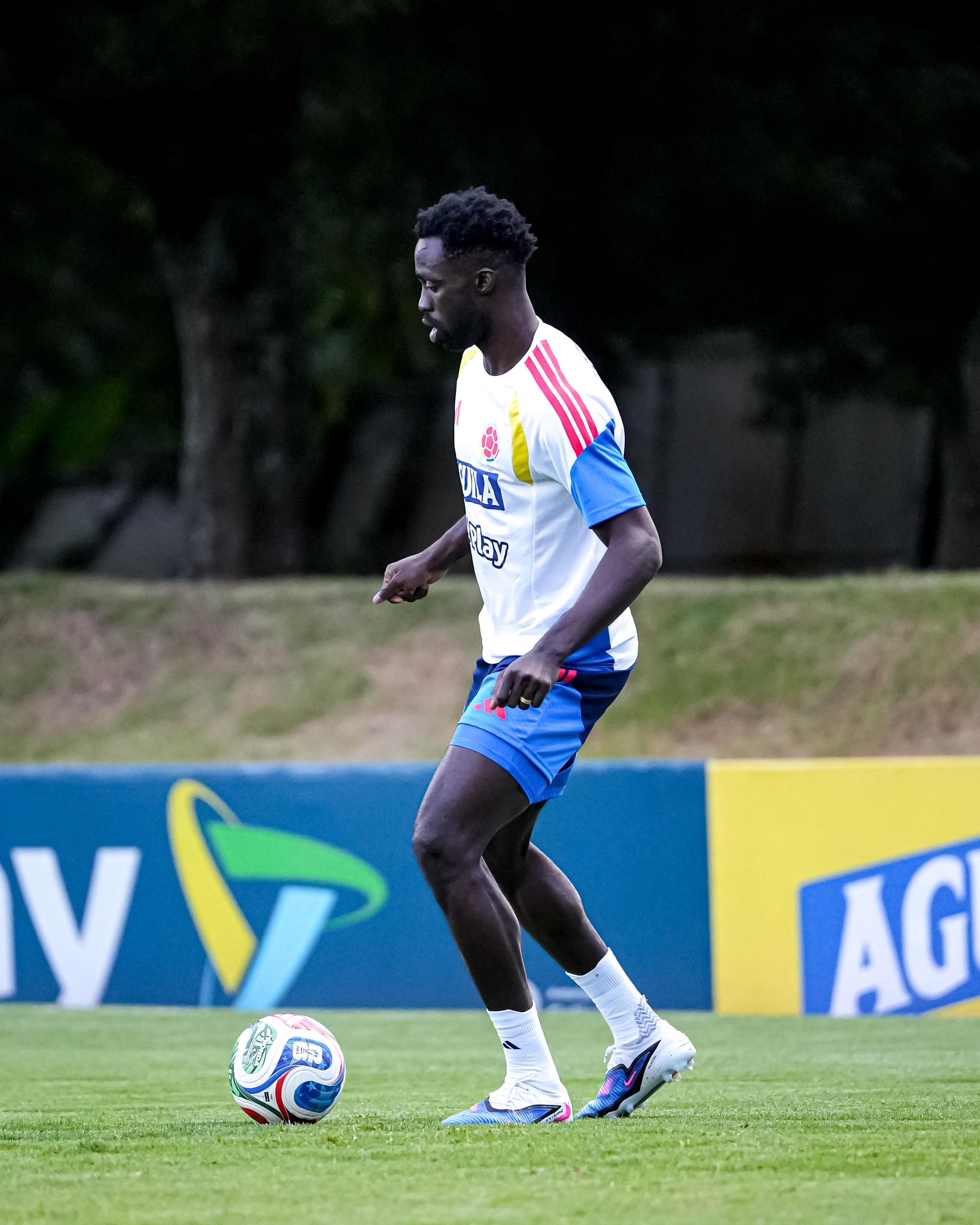 Davinson Sánchez volverá a jugar una Copa Mundial de la FIFA luego de su debut en Rusia 2018.