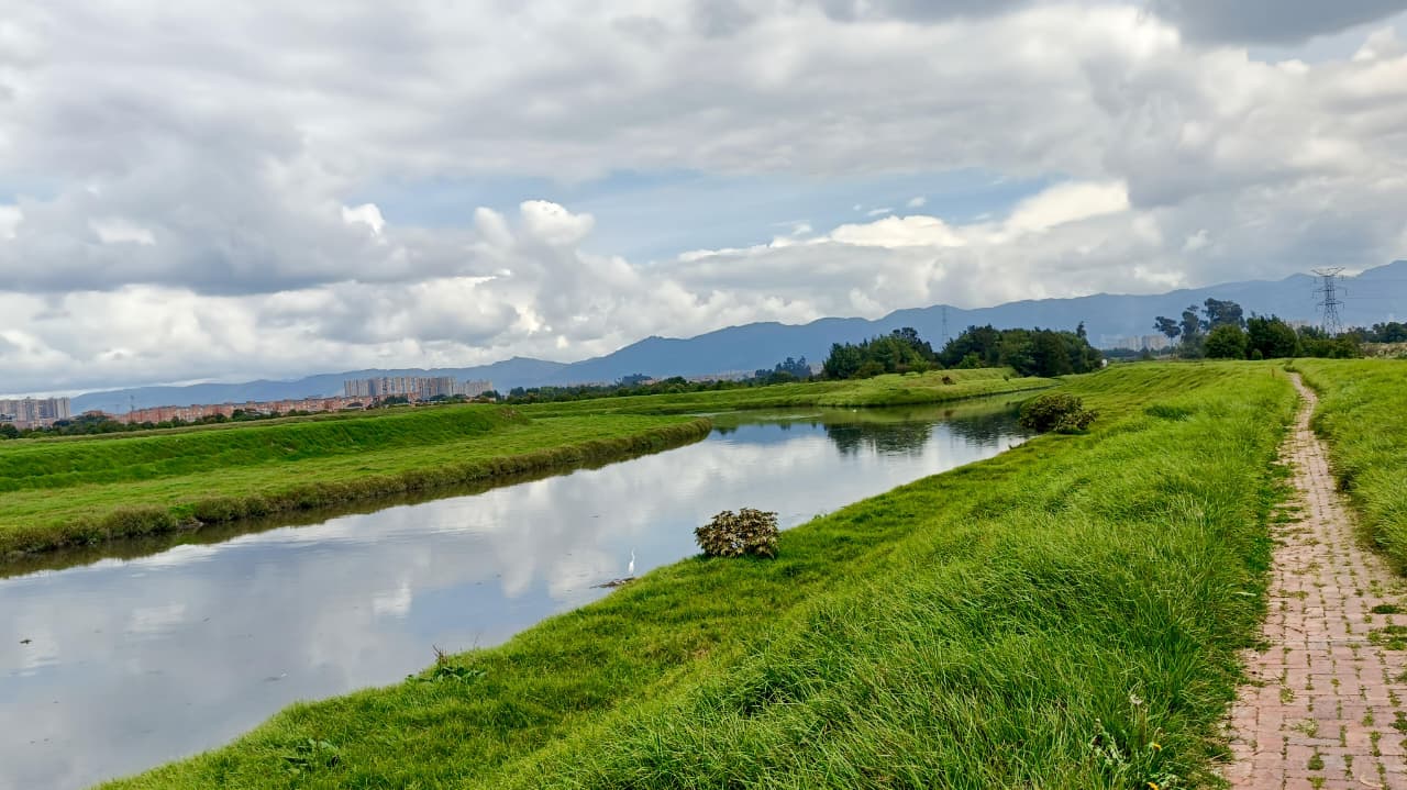 CAR reforestó más de 100 km del río Bogotá: 150.000 árboles y nuevos corredores verdes