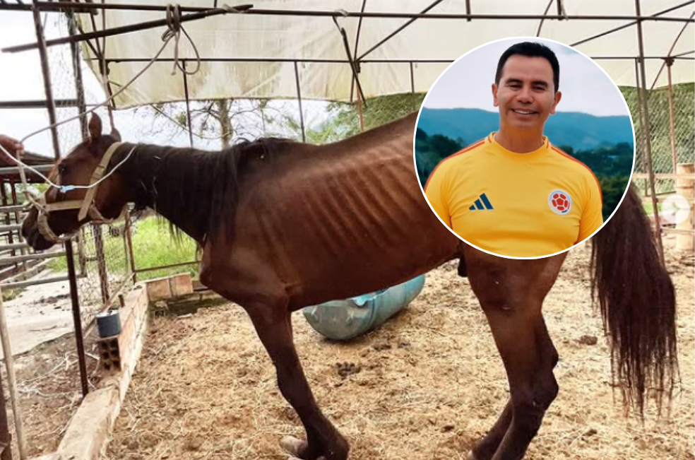 Jhonny Rivera rescató a Fénix, un caballo abandonado en una vía pública de Pereira