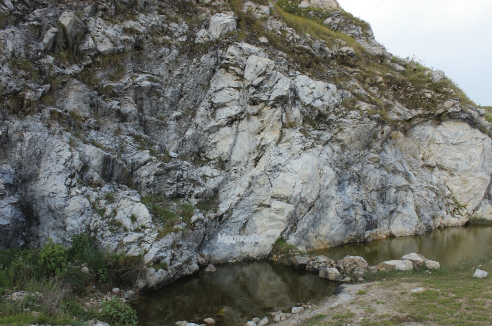 La “cápsula de tiempo” de hace 600 millones de años que encontraron en el Himalaya