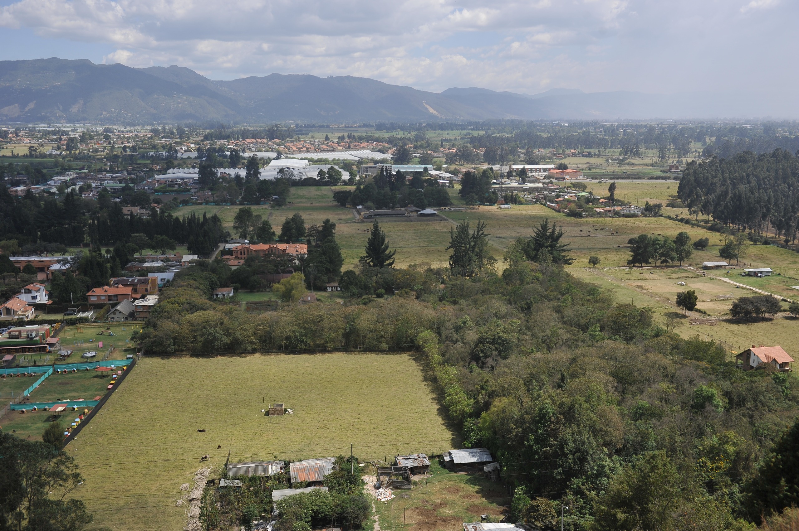 Proceso de restauración en la reserva Van der Hammen: a una firma de su renovación