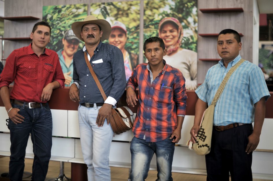 Los productores que dejaron los cultivos ilícitos por el café especial