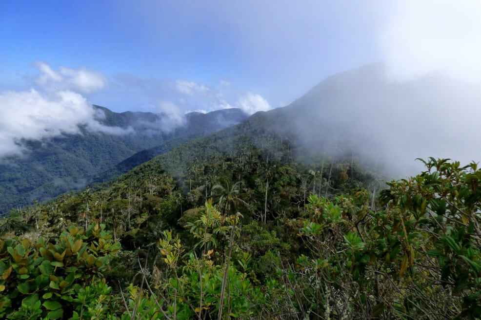 “Los Pachencas”: la organización criminal que causa terror en la Sierra Nevada
