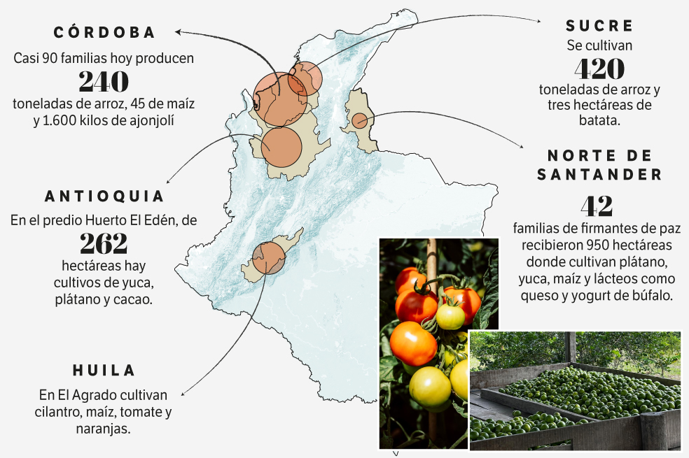 Colombia produce comida gracias a la Reforma Agraria