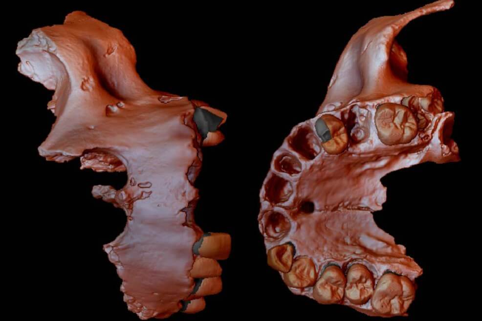 Obtienen la evidencia genética humana más antigua encontrada hasta el momento