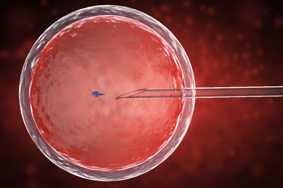Más de 8 millones de bebés han nacido por fecundación in vitro desde la primera niña, en 1978