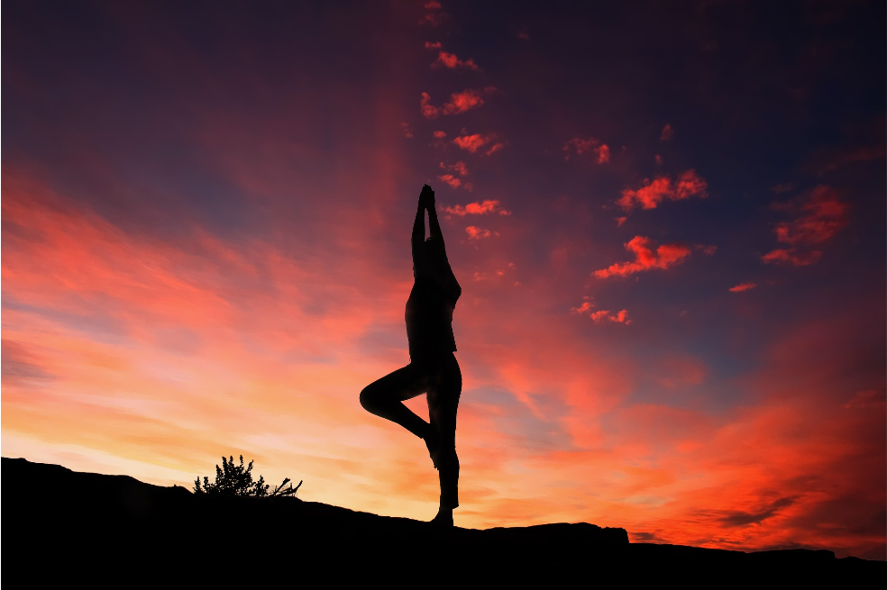 Decidí entregarme y ver, de verdad, por primera vez: mirarme con los ojos cerrados. Agradecí haber aprendido a meditar.