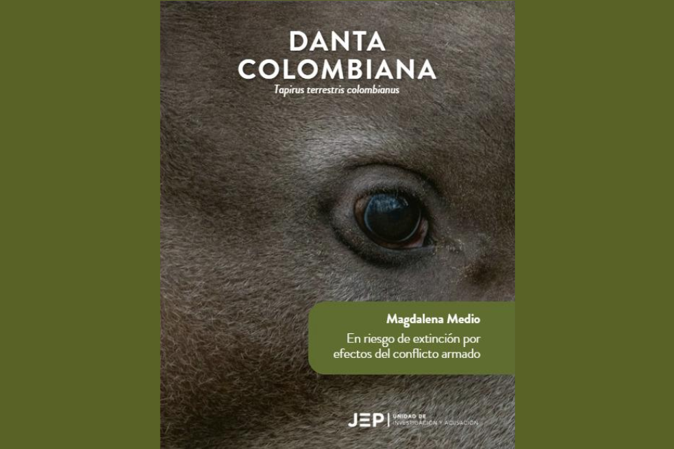 Danta colombiana (Tapirus terrestris colombianus): En la lista de especies en peligro de extinción también se encuentra la danta colombiana. La pérdida de hábitat y la caza la llevó a la extinción en los departamentos de Atlántico y Córdoba, pero todavía se encuentra en la región del Magdalena Medio.