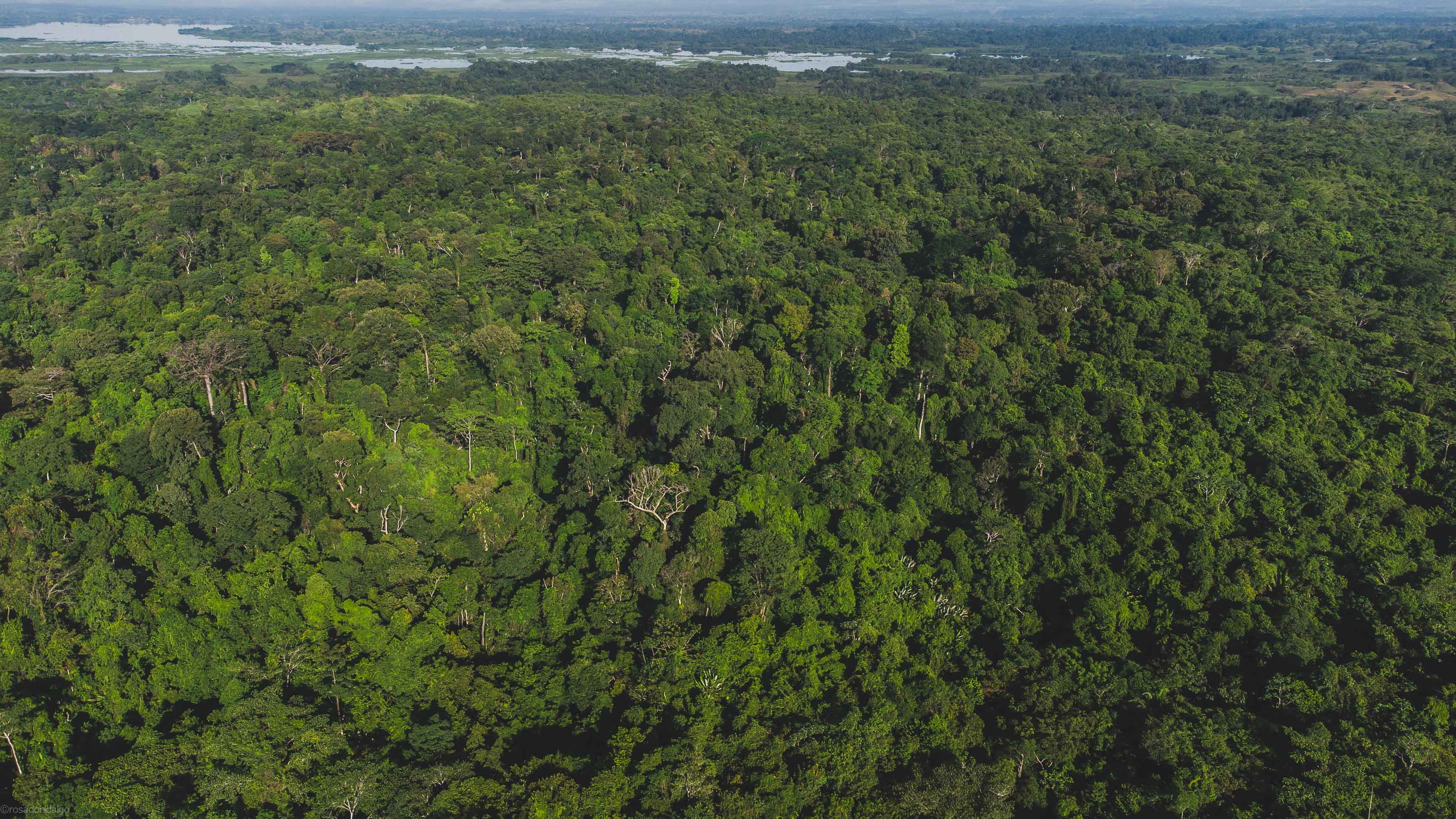 Foto aérea de la Reserva El Silencio. Al fondo, la Ciénaga de Barbacoas.