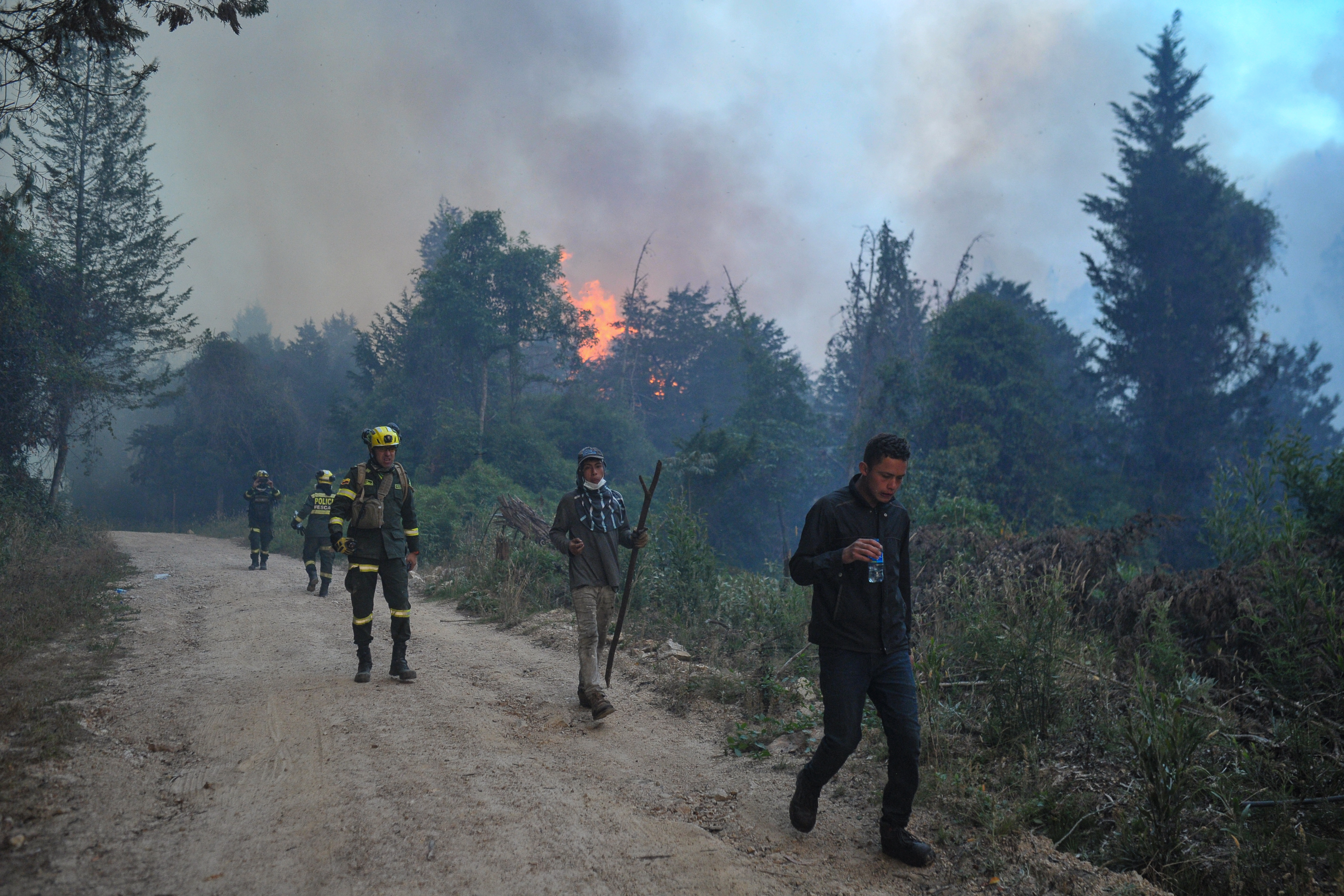12 incendios forestales se atendieron este viernes en Cundinamarca, esto se sabe