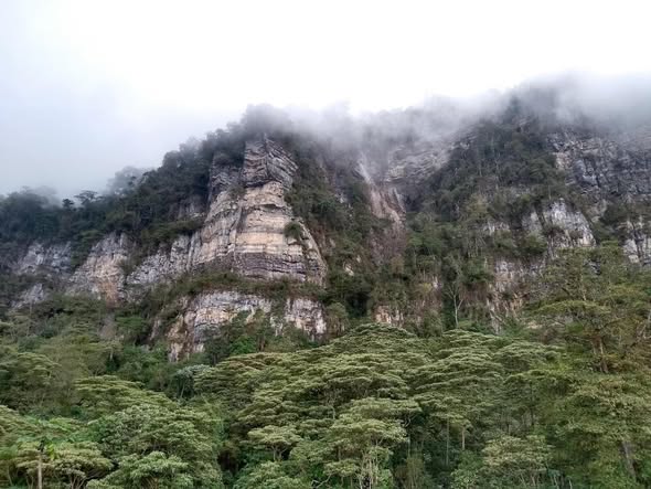 Los mejores lugares cerca de Bogotá para hacer avistamiento de aves