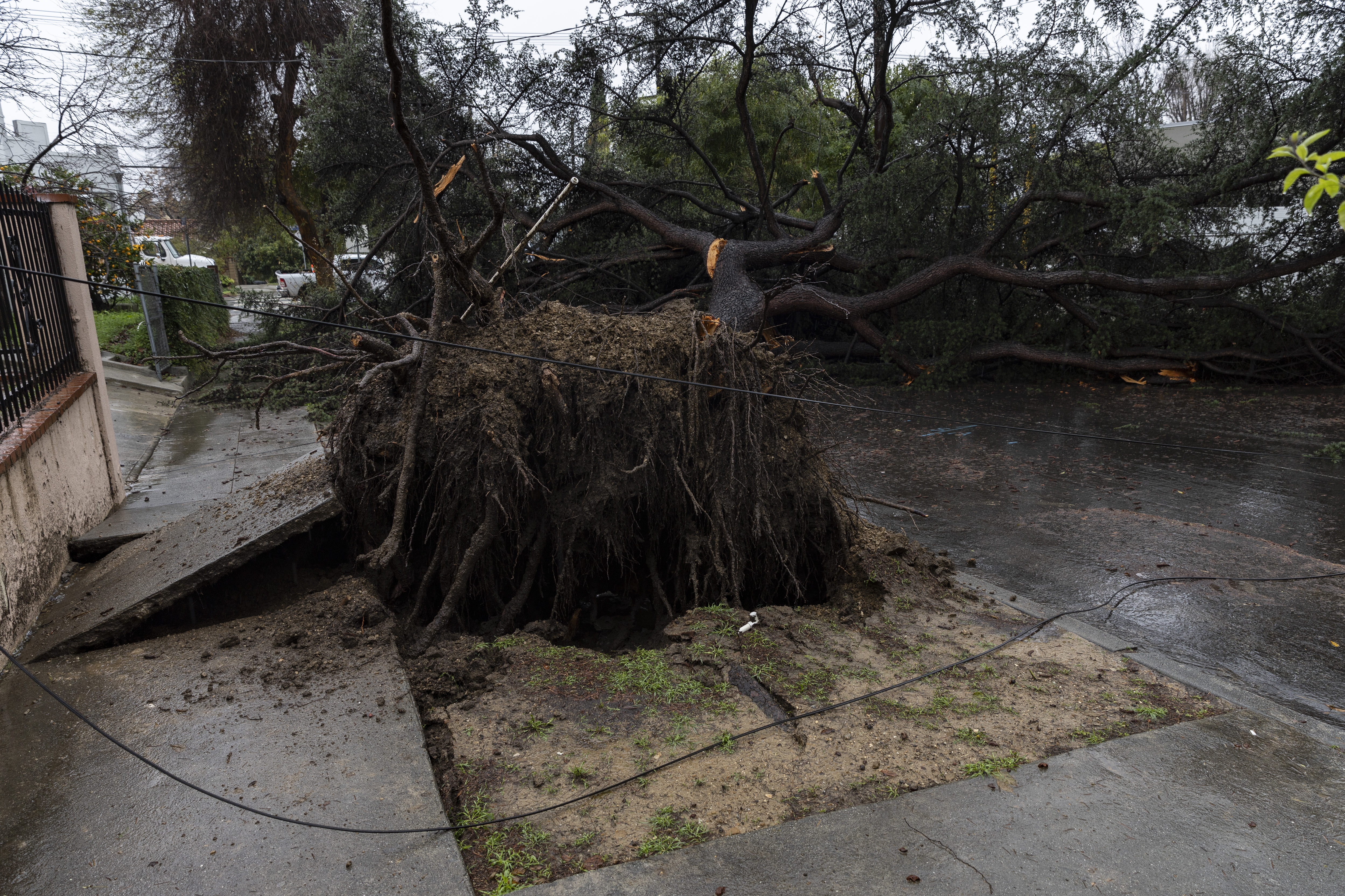 Los Angeles (United States), 05/02/2024.- A large tree toppled by winds blocks an entire street as a storm sweeps through Southern California bringing torrential rains and high winds, in Los Angeles, 05 February 2024. (tormenta) EFE/EPA/ETIENNE LAURENT