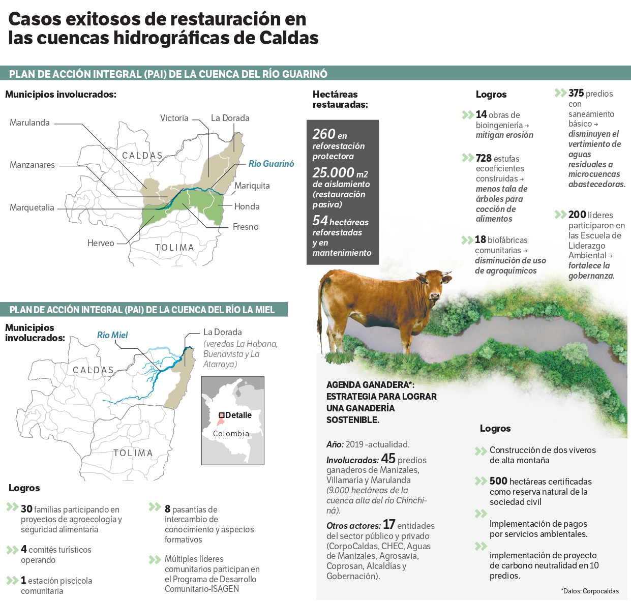 Caldas, las lecciones aprendidas en su lucha por defender el agua