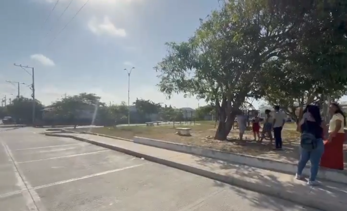 Denuncian envenenamiento de siete perros y dos gatos en barrio de Soledad