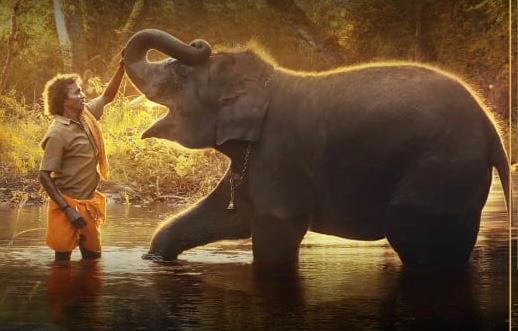 “The Elephant Whisperers”, documental sobre un elefante huérfano, ganó un Óscar