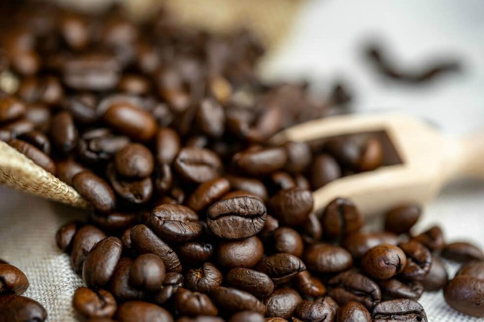 Abren el primer posgrado en Colombia para especializarse en café