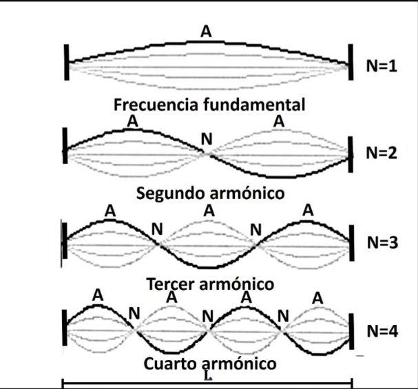 Armonía de una frecuencia fundamental