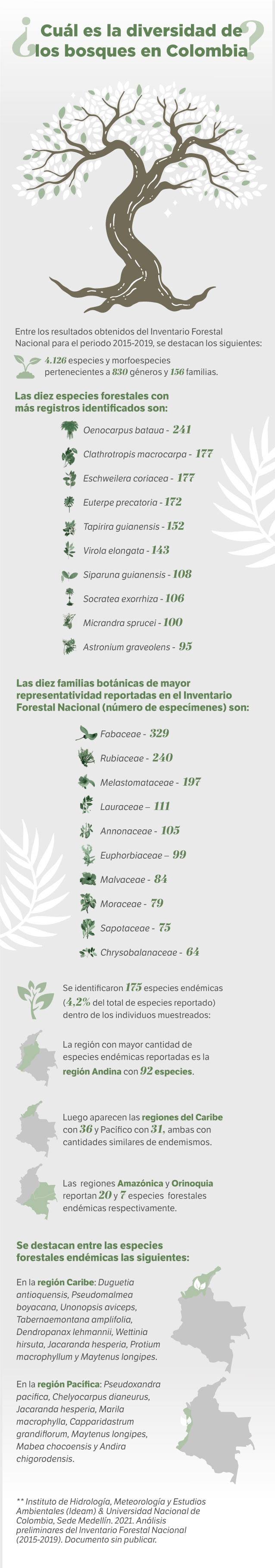 Infografía