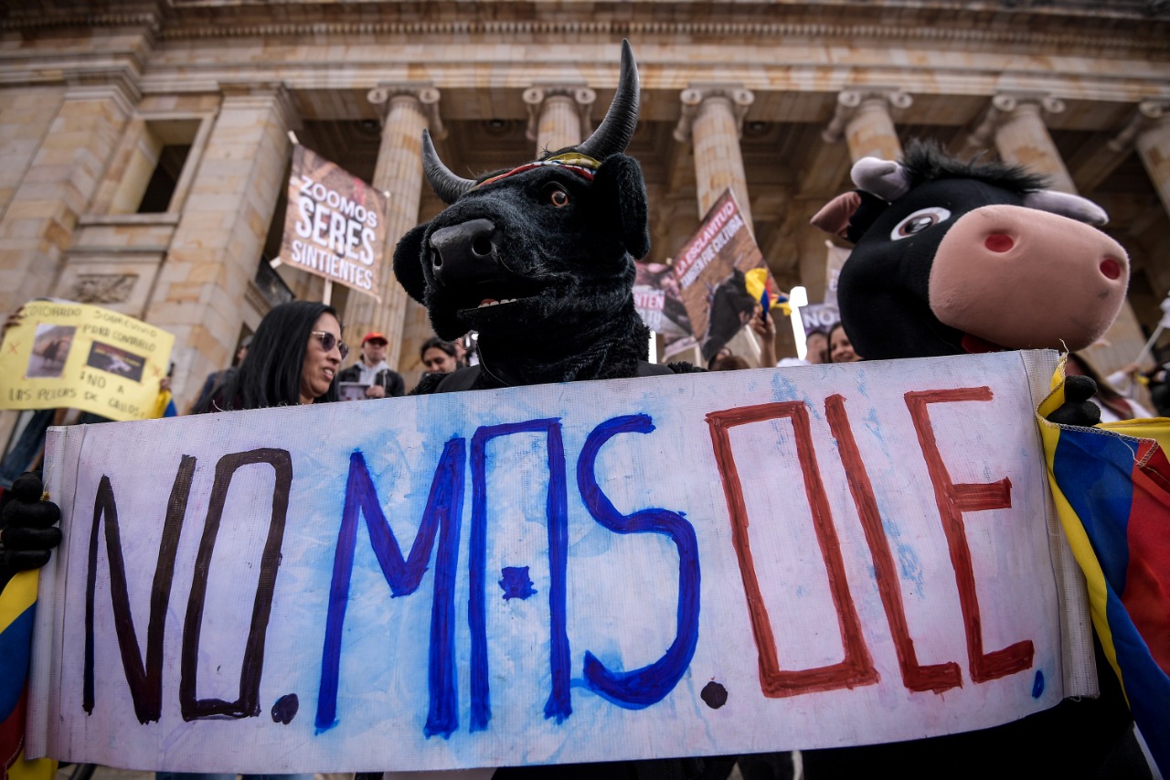 Protestas en defensa de los derechos animales
