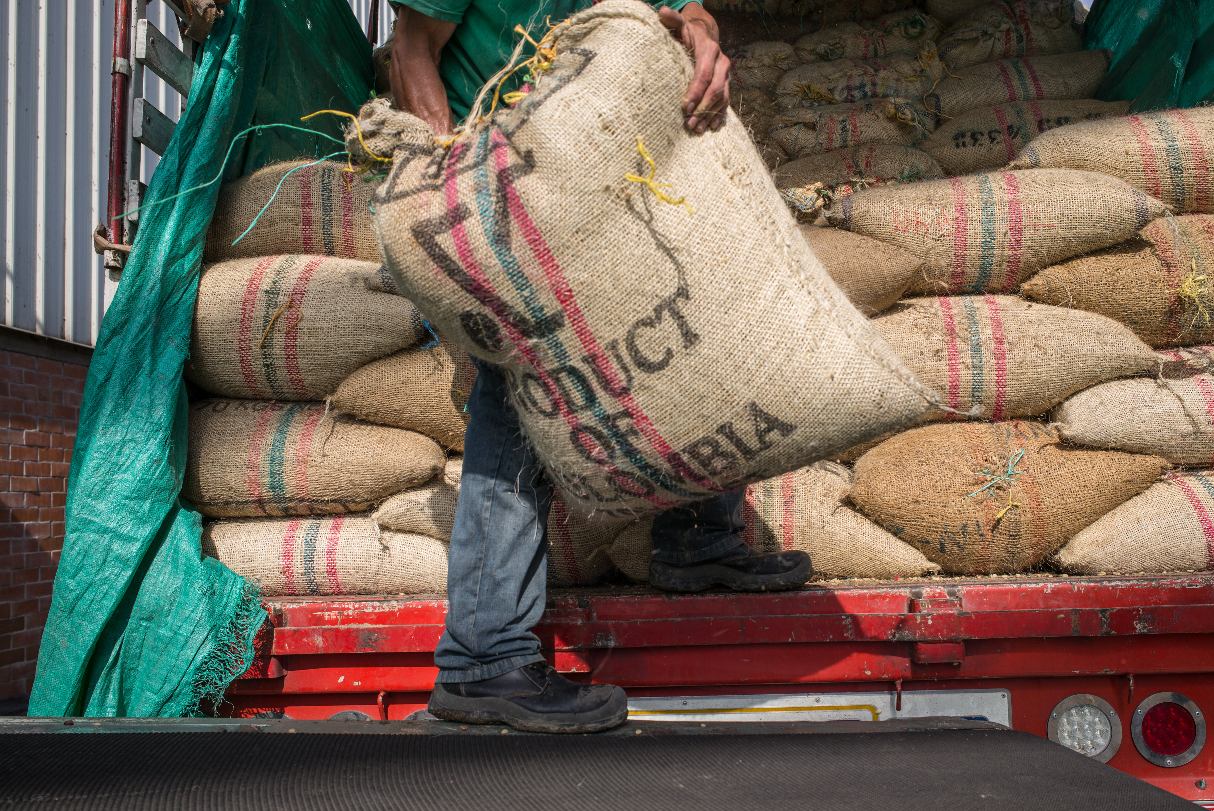 En mayo la producción cafetera del país retrocedió 6 %