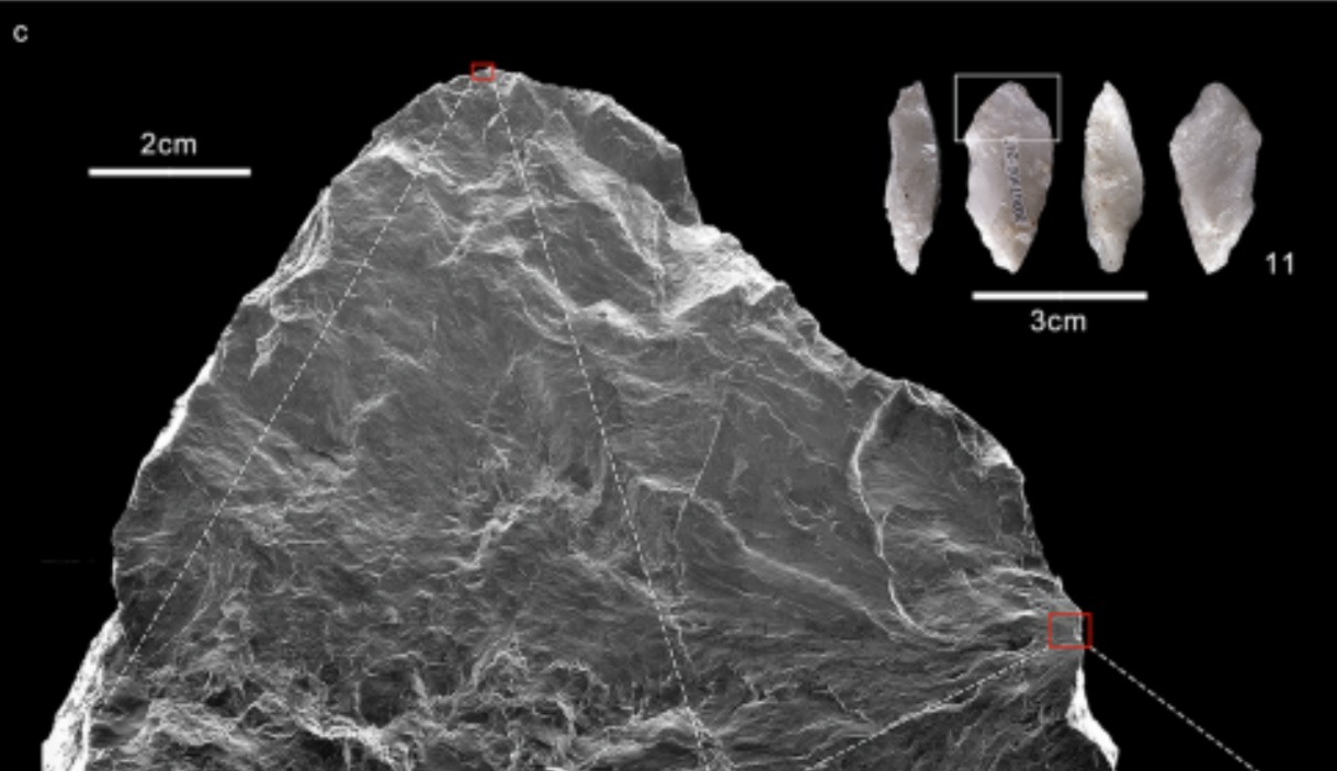 Herramientas de 160.000 años cuestionan lo que se creía sobre la “tecnología prehistórica”