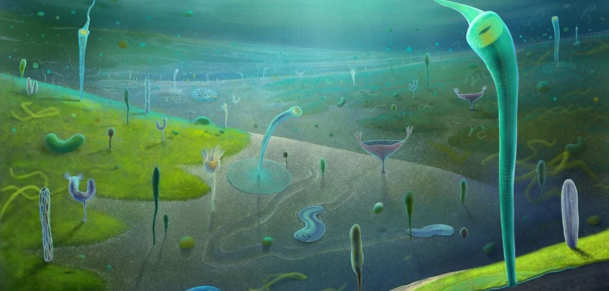 Científicos descubren fósiles que cambian lo que creíamos sobre la evolución de los animales